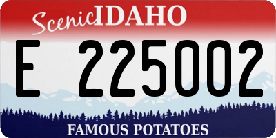 ID license plate E225002