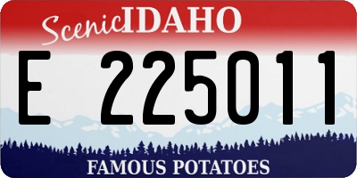 ID license plate E225011