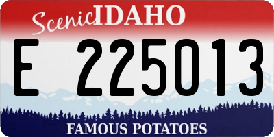 ID license plate E225013