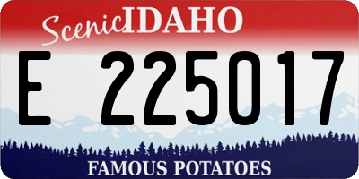 ID license plate E225017