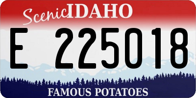 ID license plate E225018