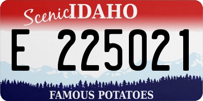 ID license plate E225021