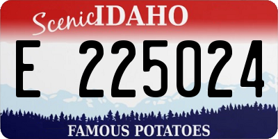 ID license plate E225024