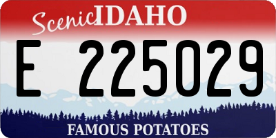 ID license plate E225029