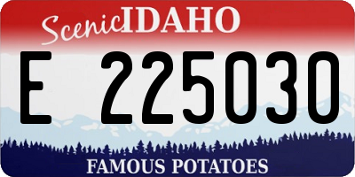 ID license plate E225030
