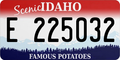 ID license plate E225032