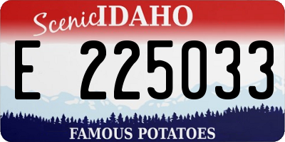 ID license plate E225033