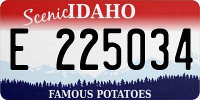 ID license plate E225034