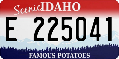 ID license plate E225041