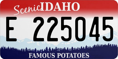 ID license plate E225045