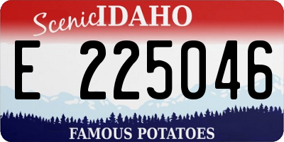 ID license plate E225046