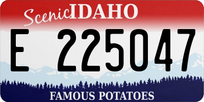 ID license plate E225047