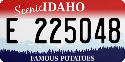 ID license plate E225048