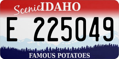 ID license plate E225049