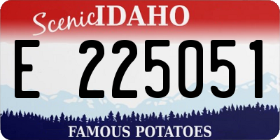ID license plate E225051