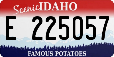 ID license plate E225057