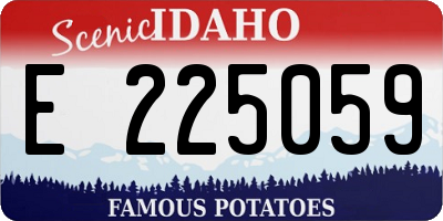 ID license plate E225059