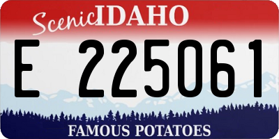 ID license plate E225061
