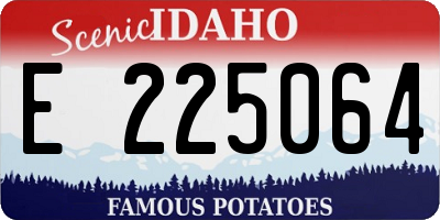 ID license plate E225064