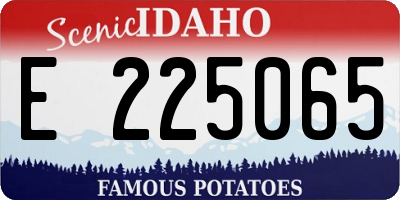 ID license plate E225065