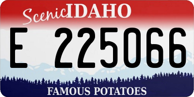ID license plate E225066