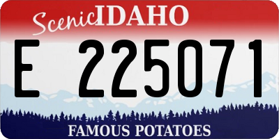 ID license plate E225071