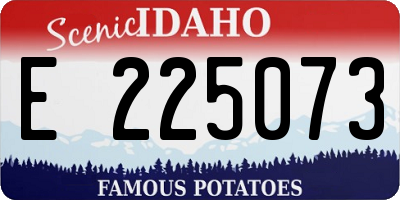 ID license plate E225073