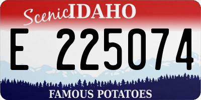 ID license plate E225074