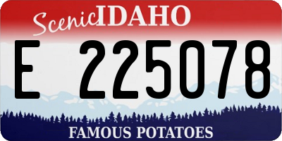 ID license plate E225078