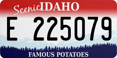 ID license plate E225079