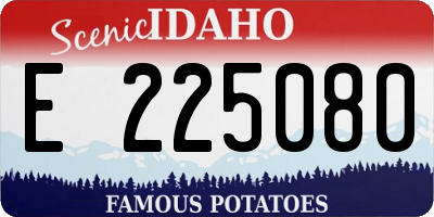 ID license plate E225080