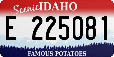 ID license plate E225081