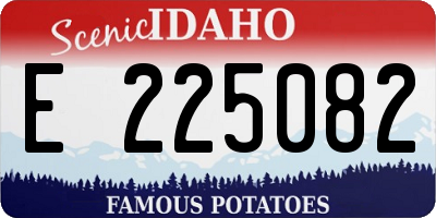 ID license plate E225082