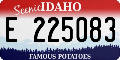 ID license plate E225083