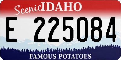 ID license plate E225084