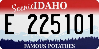 ID license plate E225101