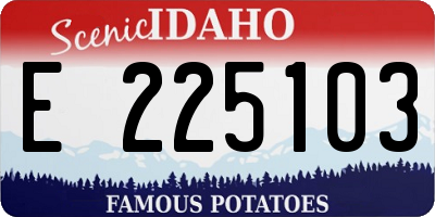 ID license plate E225103