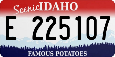 ID license plate E225107