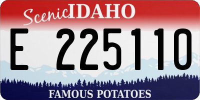 ID license plate E225110