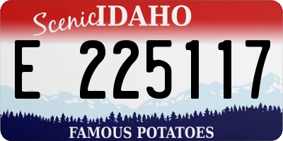 ID license plate E225117