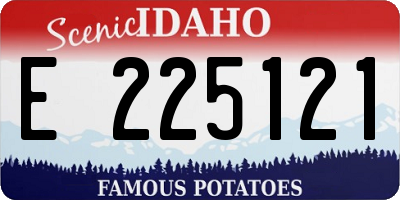 ID license plate E225121