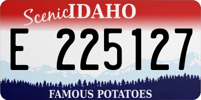 ID license plate E225127
