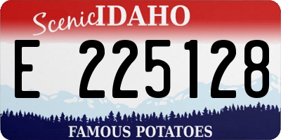 ID license plate E225128