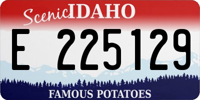 ID license plate E225129