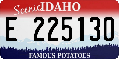 ID license plate E225130