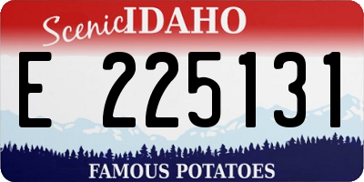 ID license plate E225131