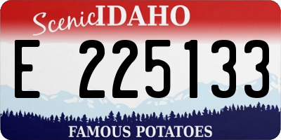 ID license plate E225133