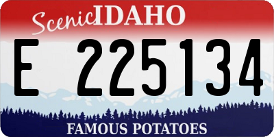 ID license plate E225134