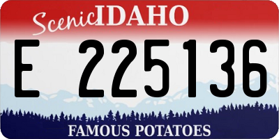 ID license plate E225136