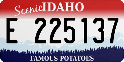 ID license plate E225137